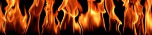 fire managers course