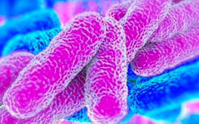 Legionella Bacteria: Risk Factors That Contribute To Growth In Water Systems