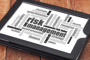 Chris Mee Group Risk Management