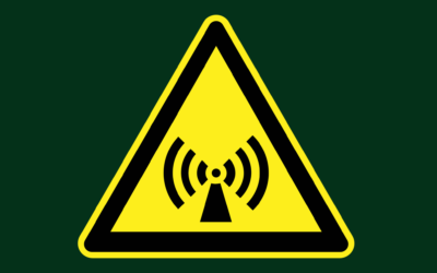 Electromagnetic Fields: Are You at Risk?