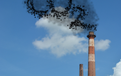 The Carbon Border Adjustment Mechanism (CBAM)