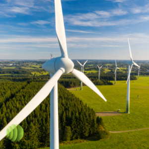ISO 14064-2: 2019 Greenhouse Gas Projects and Reducing Environmental Impact